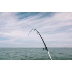 CANNE BATEAU SEABOAT 500 250 POWER TRAVEL PECHE EN MER -Célèbre Pêche Magasin canne bateau seaboat 500 250 power travel peche en mer 9