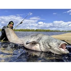 Canne Silure Black Cat Perfect Passion XH-S (510g - 3m20 - Max 350g - 2 - 160cm) -Célèbre Pêche Magasin canne silure black cat perfect passion xh s 510g 3m20 max 350g 2 160cm 3