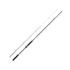 Canne Spinning Daiwa BG Tenya Game (133g - 2m40 - 10 - 42g - 2)