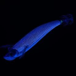 Turlutte Ultra Coulante TYP RUN EBIFISH 3.0/120 Naturel Mullet Pêche Calamar -Célèbre Pêche Magasin turlutte ultra coulante typ run ebifish 30120 naturel mullet peche calamar 4